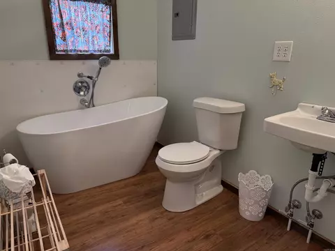 Bath - 2085 Quicksilver Rd, Leslie, AR 72645 photo 4 of 4