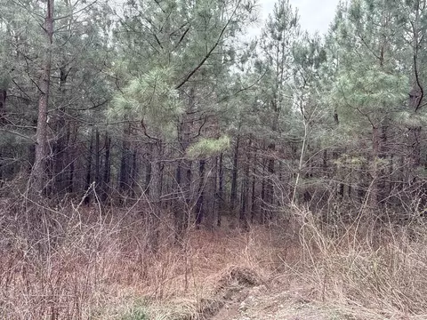 Other - 2085 Quicksilver Rd, Leslie, AR 72645 photo 14 of 14