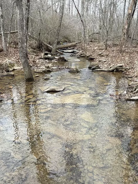 Other - 2085 Quicksilver Rd, Leslie, AR 72645 photo 8 of 14