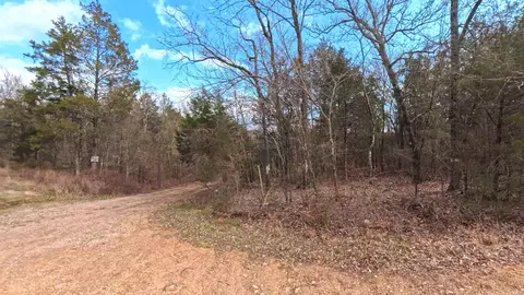 000 Rainwood Ln, Yellville, AR 72687