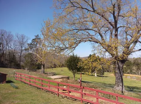 Exterior - 434 Virgin Pine Rd, Marshall, AR 72650 photo 10 of 12