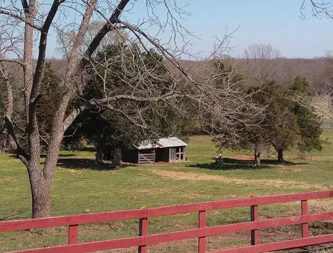 Exterior - 434 Virgin Pine Rd, Marshall, AR 72650 photo 9 of 12