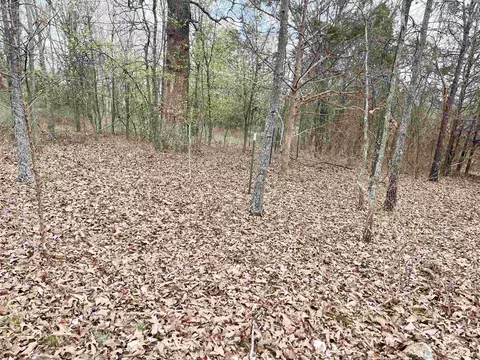 0 62412 Hwy, Viola, AR 72583