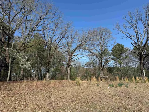 tbd Old Bear Rd, Royal, AR 71968 photo 6