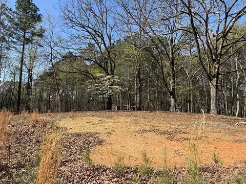 tbd Old Bear Rd, Royal, AR 71968 photo 2
