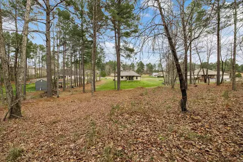 257 Reuben Dr, Alexander, AR 72002 photo 32