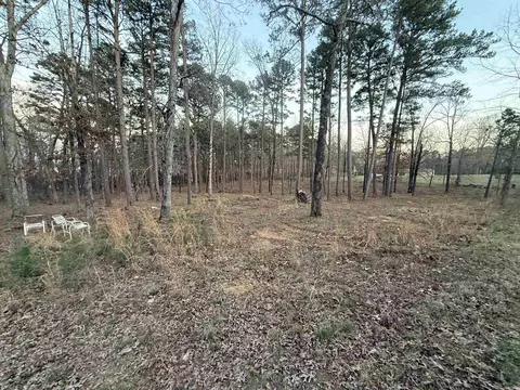 525 E Shore Dr, Drasco, AR 72530 photo 5