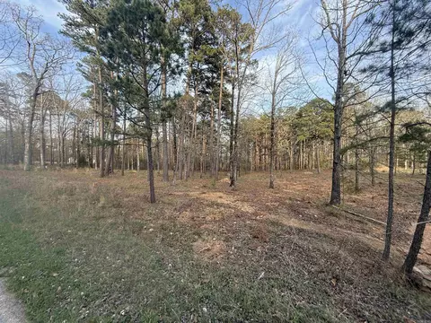 525 E Shore Dr, Drasco, AR 72530 photo 3