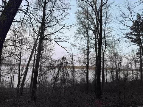 525 E Shore Dr, Drasco, AR 72530 photo 6