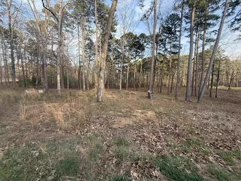 525 E Shore Dr, Drasco, AR 72530 photo 8