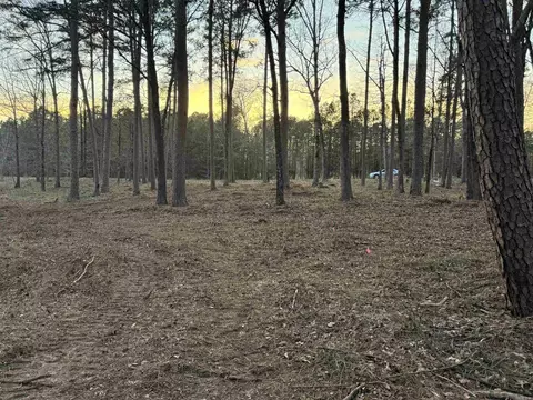 525 E Shore Dr, Drasco, AR 72530 photo 4