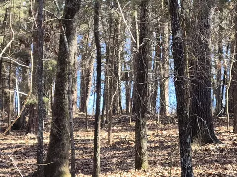 525 E Shore Dr, Drasco, AR 72530 photo 7