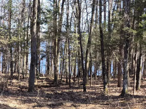 525 E Shore Dr, Drasco, AR 72530 photo 9