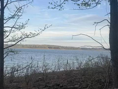 525 E Shore Dr, Drasco, AR 72530