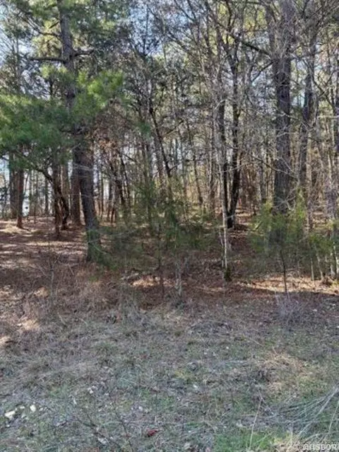 tbd Pirate Dr, Hot Springs, AR 71913