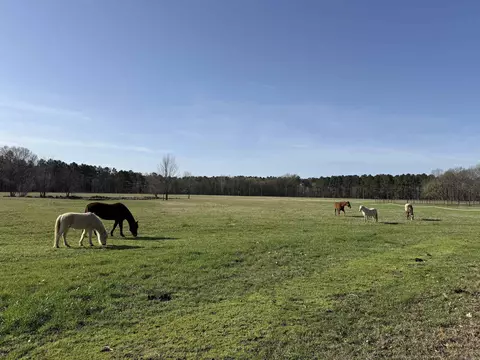 5500 Sunshine Ln, Pangburn, AR 72121