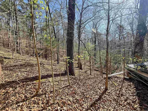 100 Acres Jones Vly, Caddo Gap, AR 71935