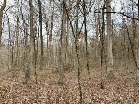000 Watson Rd, Clinton, AR 72031 photo 35