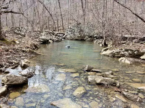 000 Watson Rd, Clinton, AR 72031 photo 3