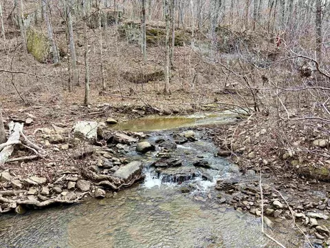 000 Watson Rd, Clinton, AR 72031 photo 24