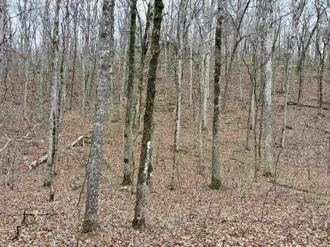 000 Watson Rd, Clinton, AR 72031 photo 32