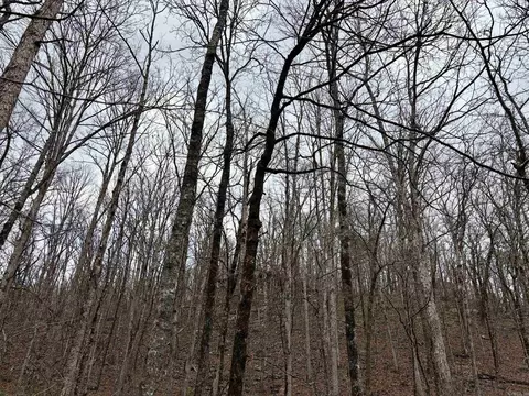 000 Watson Rd, Clinton, AR 72031 photo 33