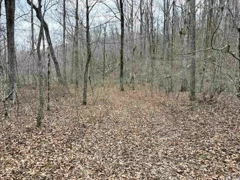 000 Watson Rd, Clinton, AR 72031 photo 45