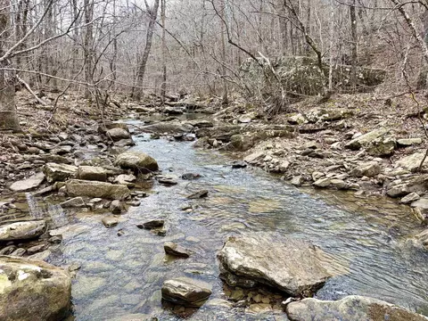 000 Watson Rd, Clinton, AR 72031 photo 20
