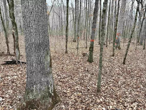 000 Watson Rd, Clinton, AR 72031 photo 38