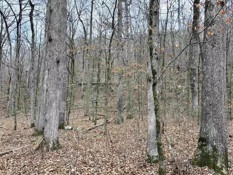000 Watson Rd, Clinton, AR 72031 photo 36