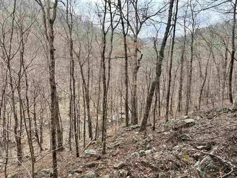 000 Watson Rd, Clinton, AR 72031 photo 14