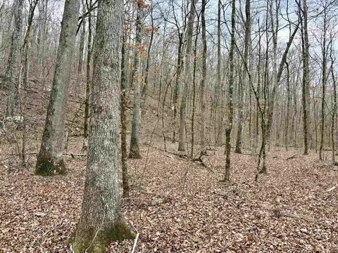 000 Watson Rd, Clinton, AR 72031 photo 37