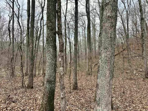000 Watson Rd, Clinton, AR 72031 photo 34