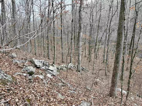 000 Watson Rd, Clinton, AR 72031 photo 16