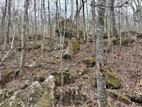 000 Watson Rd, Clinton, AR 72031 photo 25