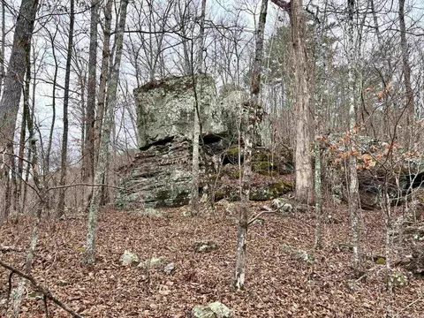 000 Watson Rd, Clinton, AR 72031 photo 5