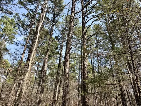 000 Capture That Rd, Prim, AR 72130 photo 33