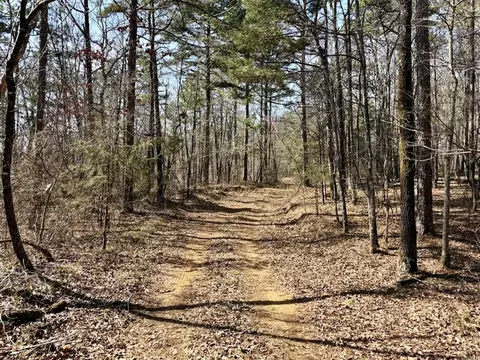 000 Capture That Rd, Prim, AR 72130 photo 6