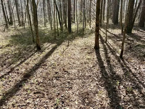 000 Capture That Rd, Prim, AR 72130 photo 22