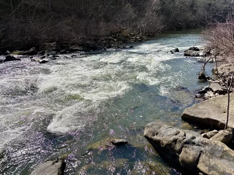 000 Capture That Rd, Prim, AR 72130 photo 10