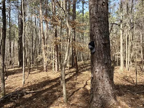 000 Capture That Rd, Prim, AR 72130 photo 15