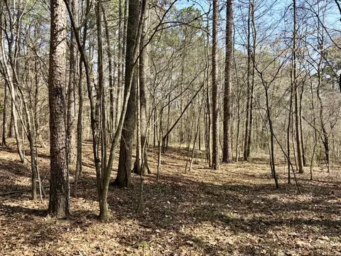 000 Capture That Rd, Prim, AR 72130 photo 21