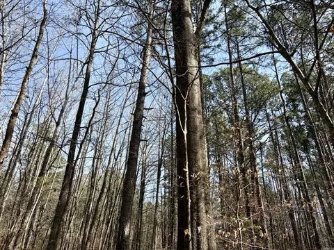 000 Capture That Rd, Prim, AR 72130 photo 44