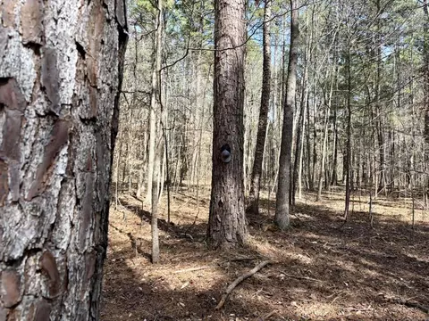 000 Capture That Rd, Prim, AR 72130 photo 31