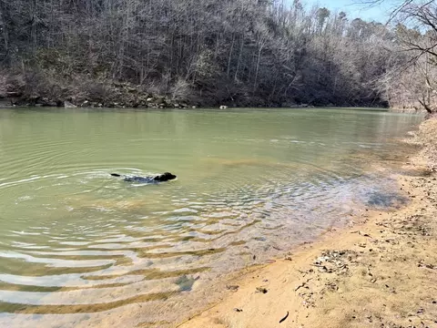 000 Capture That Rd, Prim, AR 72130 photo 18