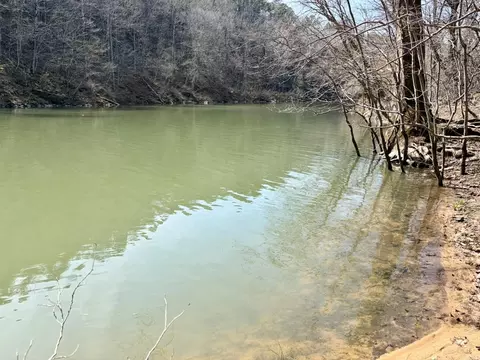 000 Capture That Rd, Prim, AR 72130 photo 38