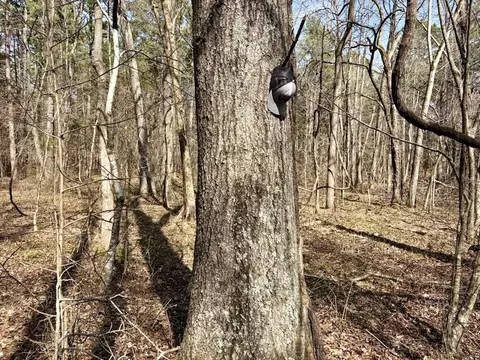 000 Capture That Rd, Prim, AR 72130 photo 42