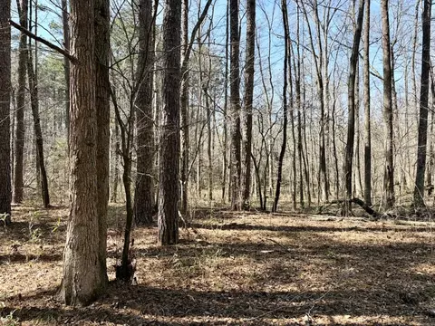 000 Capture That Rd, Prim, AR 72130 photo 37