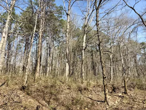 000 Capture That Rd, Prim, AR 72130 photo 35