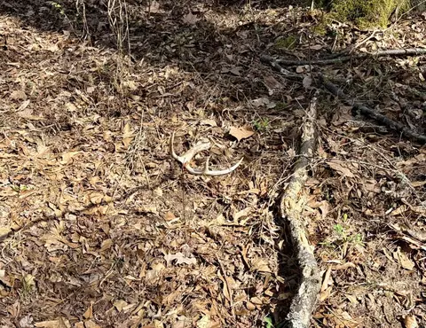 000 Capture That Rd, Prim, AR 72130 photo 28